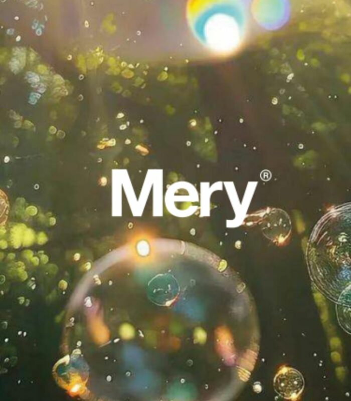 Productos marca Mery