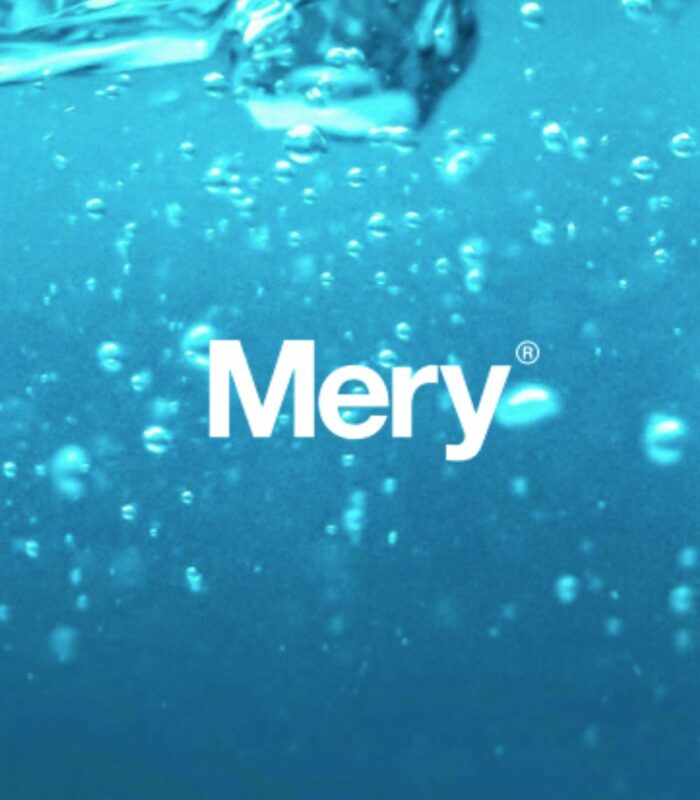 Productos Mery